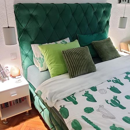 Green Cactus Rooms - Unique And Cozy House Senta Экстерьер фото