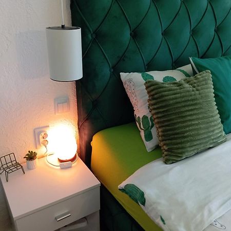 Green Cactus Rooms - Unique And Cozy House Senta Экстерьер фото