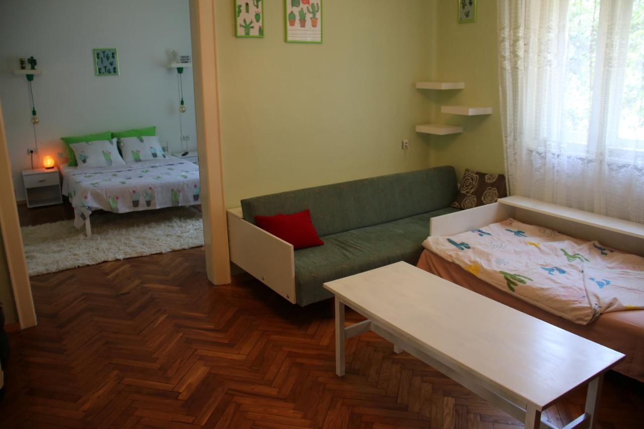 Green Cactus Rooms - Unique And Cozy House Senta Экстерьер фото
