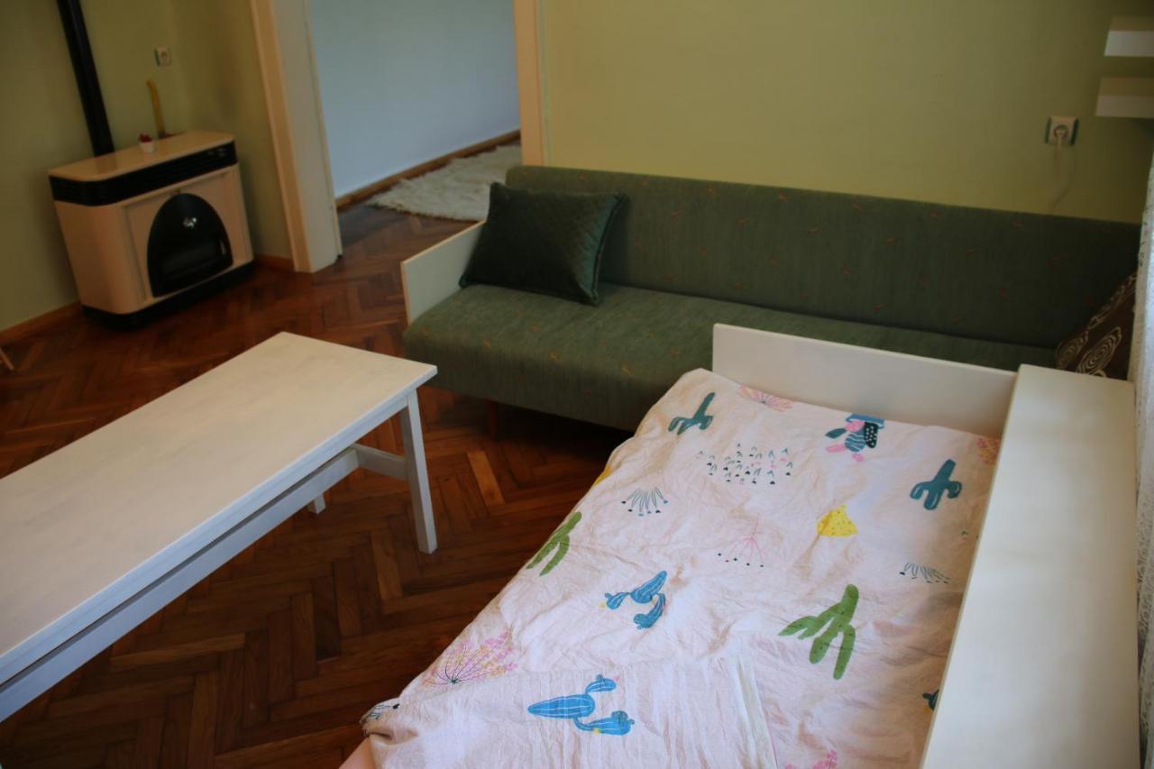 Green Cactus Rooms - Unique And Cozy House Senta Экстерьер фото