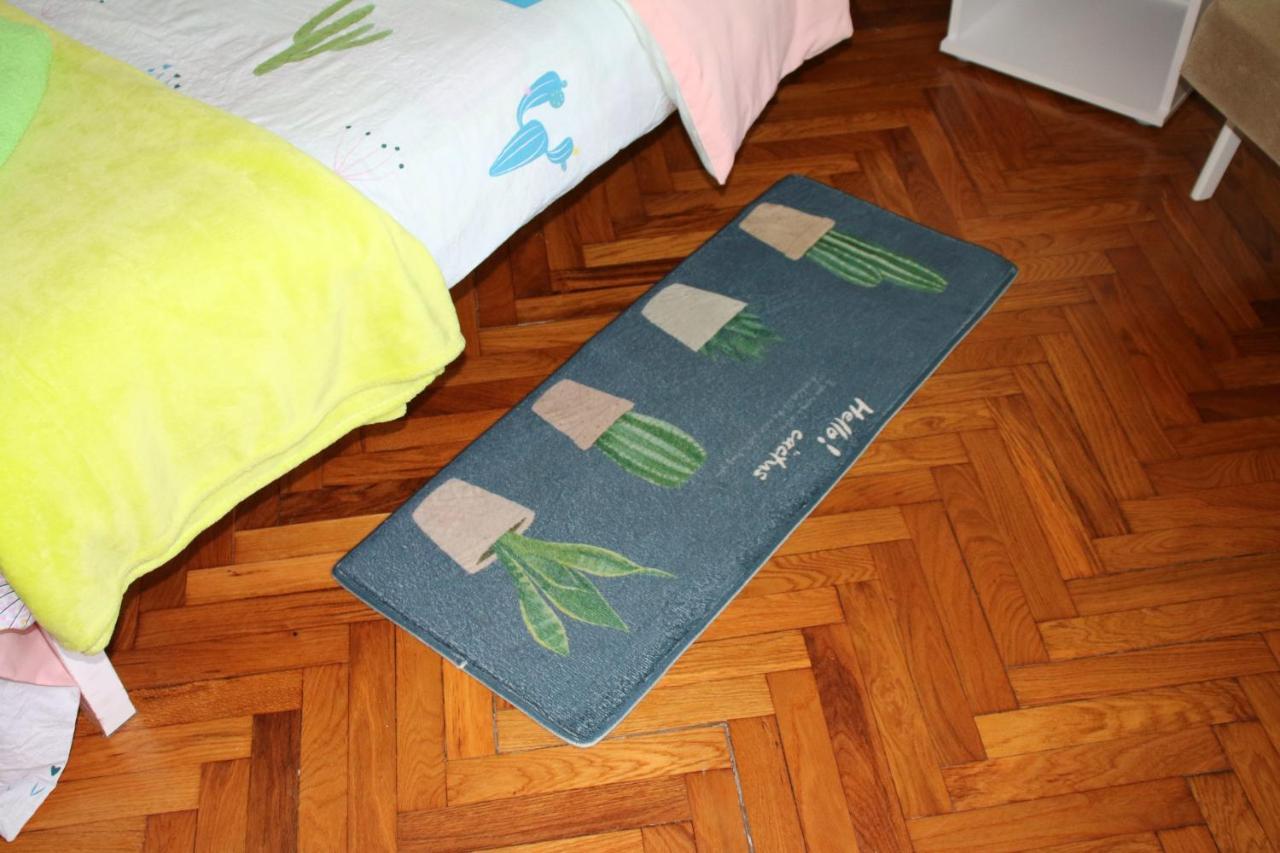 Green Cactus Rooms - Unique And Cozy House Senta Экстерьер фото