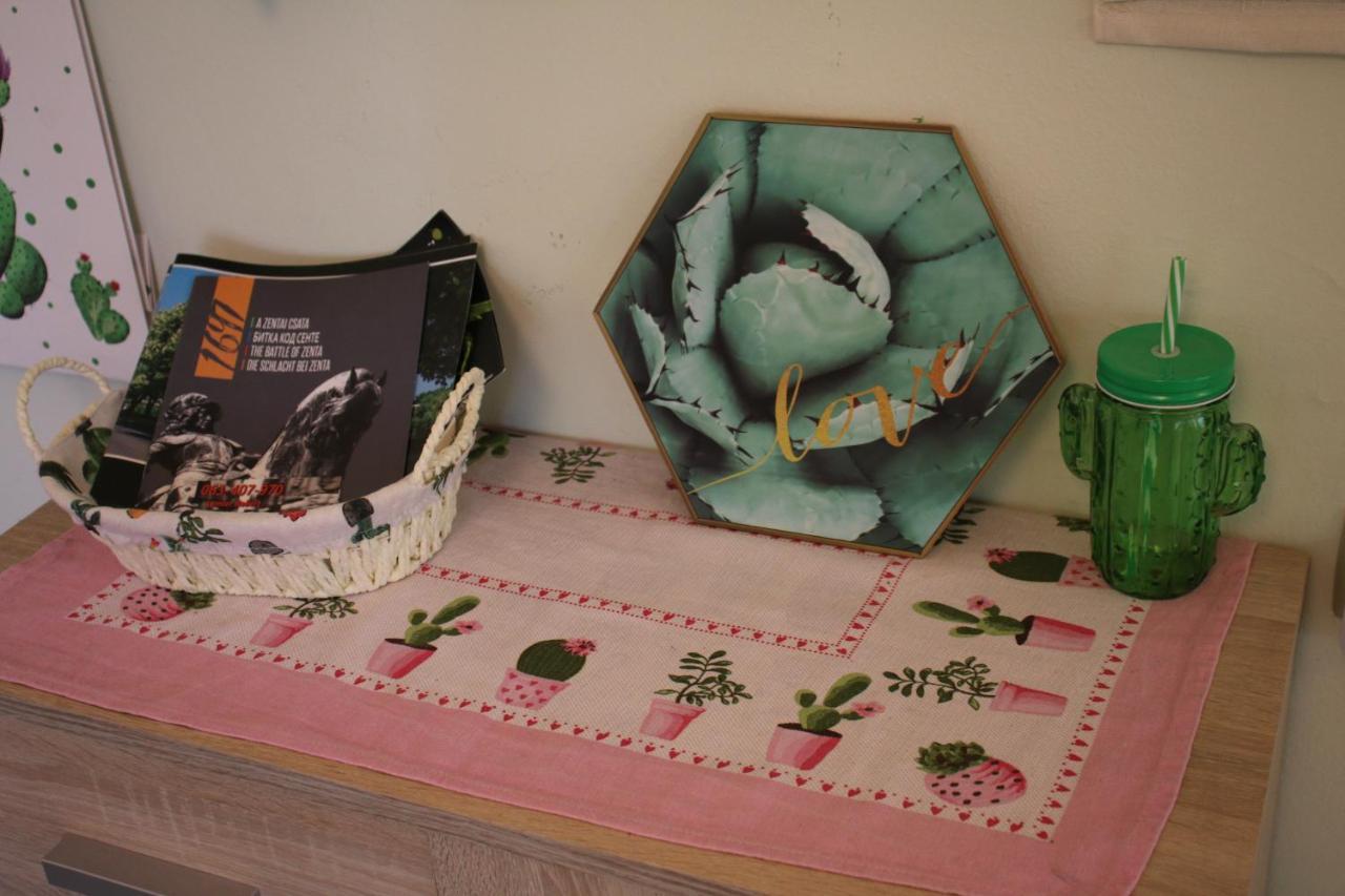 Green Cactus Rooms - Unique And Cozy House Senta Экстерьер фото