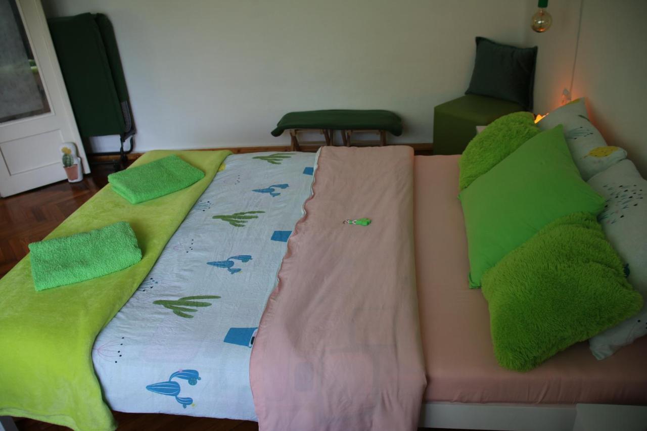 Green Cactus Rooms - Unique And Cozy House Senta Экстерьер фото