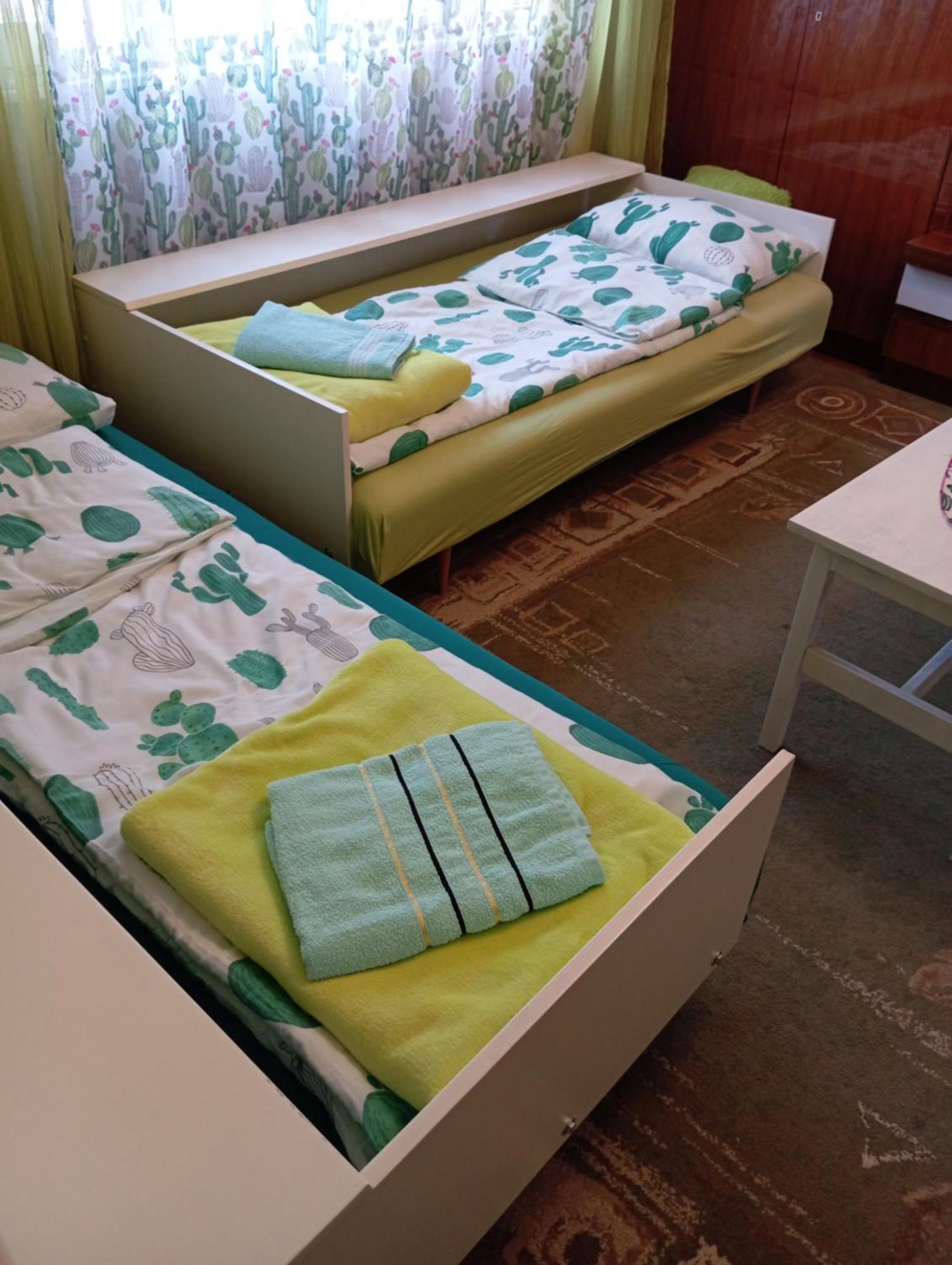 Green Cactus Rooms - Unique And Cozy House Senta Экстерьер фото
